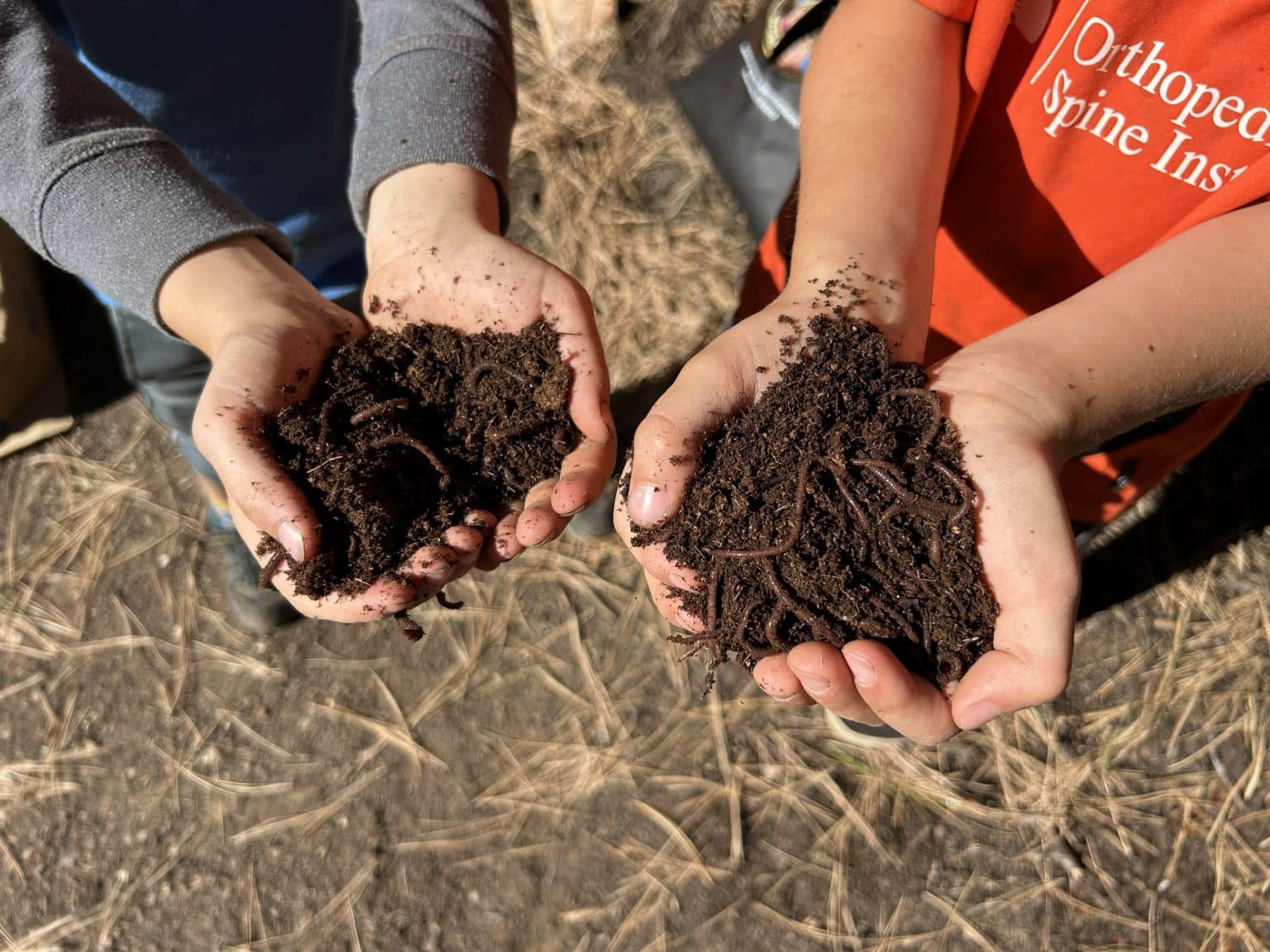 Vermicompost worms